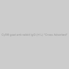 Image of Cy5® goat anti-rabbit IgG (H+L) *Cross Adsorbed*